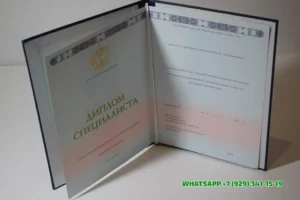 Купить диплом Набережно-Челнинского института филиала ВЭГУ — Набережно-Челнинского института филиала Восточной экономико-юридической гуманитарной академии в Казани